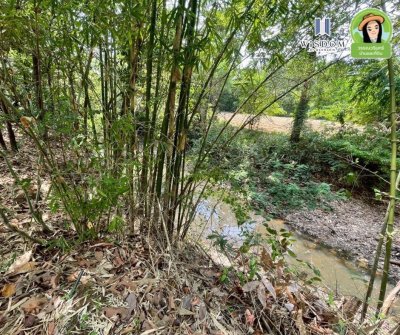 ขายที่ดินแปลงใหญ่ อ.เขมราฐ จ.อุบลราชธานี