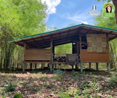 ขายที่ดินแปลงใหญ่ อ.เขมราฐ จ.อุบลราชธานี