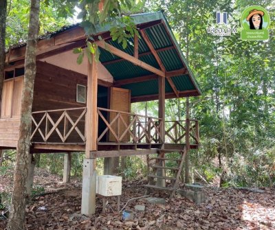 ขายที่ดินแปลงใหญ่ อ.เขมราฐ จ.อุบลราชธานี