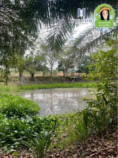 ขายที่ดินแปลงใหญ่ อ.เขมราฐ จ.อุบลราชธานี