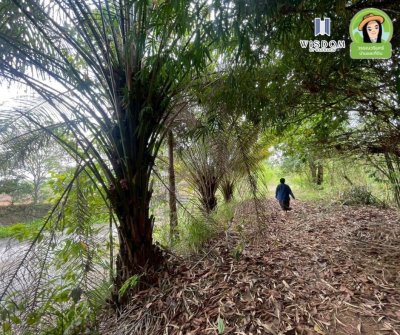 ขายที่ดินแปลงใหญ่ อ.เขมราฐ จ.อุบลราชธานี