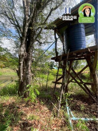 ขายที่ดินแปลงใหญ่ อ.เขมราฐ จ.อุบลราชธานี