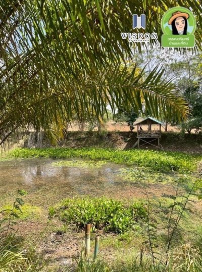 ขายที่ดินแปลงใหญ่ อ.เขมราฐ จ.อุบลราชธานี