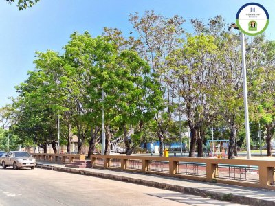 อาคารพาณิชย์พร้อมผู้เช่า-รับรายได้ทันที