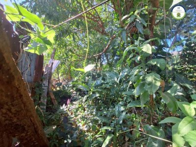 ที่ดินเมืองอุบล ใกล้สนามบิน แค่ 400 เมตร