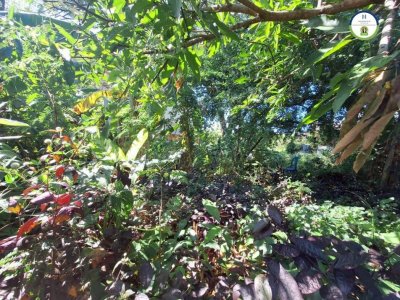 ที่ดินเมืองอุบล ใกล้สนามบิน แค่ 400 เมตร