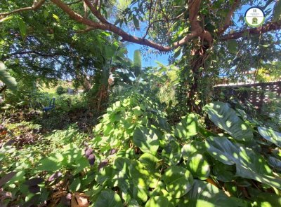 ที่ดินเมืองอุบล ใกล้สนามบิน แค่ 400 เมตร