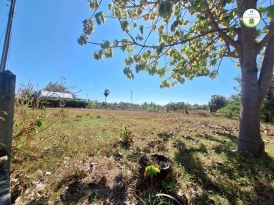 ที่ดินเปล่าบ้านทำเลดี โซนไร่น้อย