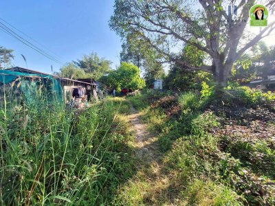 ที่ดินเปล่าบ้านดงแสนสุข โซนไร่น้อย