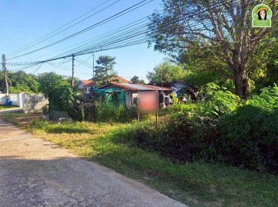 ที่ดินเปล่าบ้านดงแสนสุข โซนไร่น้อย