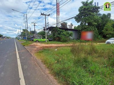 ที่ดินเปล่าแปลงสวย ทำเลดี โซนไร่น้อย