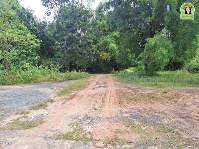 ที่ดินเปล่าแปลงสวย ทำเลดี โซนไร่น้อย