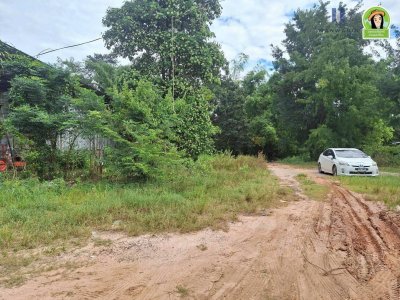 ที่ดินเปล่าแปลงสวย ทำเลดี โซนไร่น้อย