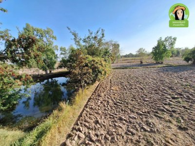 บ้านโมเดิร์นพร้อมที่ดินสไตล์บ้านสวน