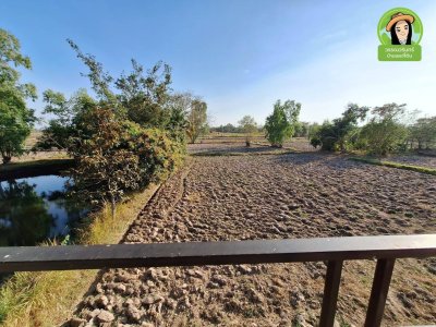 บ้านโมเดิร์นพร้อมที่ดินสไตล์บ้านสวน