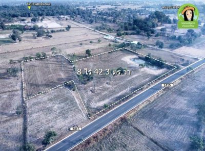 ที่นาติดถนนหลักตำบลยางสักกระโพหลุ่ม