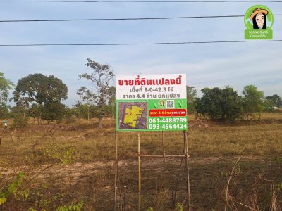 ที่นาติดถนนหลักตำบลยางสักกระโพหลุ่ม