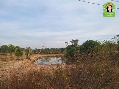 ที่นาติดถนนหลักตำบลยางสักกระโพหลุ่ม