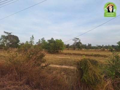 ที่นาติดถนนหลักตำบลยางสักกระโพหลุ่ม