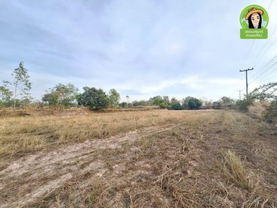 ที่นาติดถนนหลักตำบลยางสักกระโพหลุ่ม