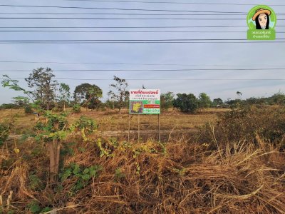 ที่นาติดถนนหลักตำบลยางสักกระโพหลุ่ม