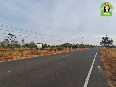 ที่นาติดถนนหลักตำบลยางสักกระโพหลุ่ม