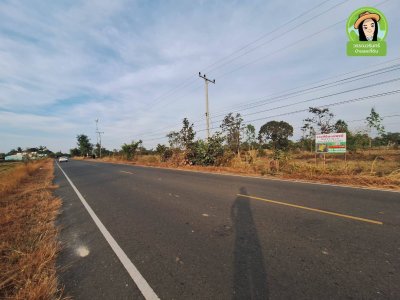 ที่นาติดถนนหลักตำบลยางสักกระโพหลุ่ม