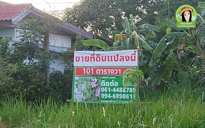 ที่ดินแปลงสวยบ้านธาตุ ทำเลดี เหมาะสำหรับสร้างบ้าน