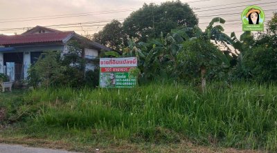 ที่ดินแปลงสวยบ้านธาตุ ทำเลดี เหมาะสำหรับสร้างบ้าน