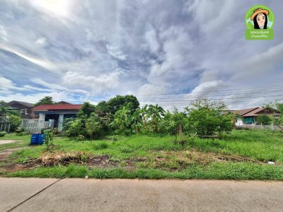 ที่ดินแปลงสวยบ้านธาตุ ทำเลดี เหมาะสำหรับสร้างบ้าน