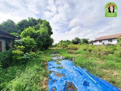 ที่ดินแปลงสวยบ้านธาตุ ทำเลดี เหมาะสำหรับสร้างบ้าน