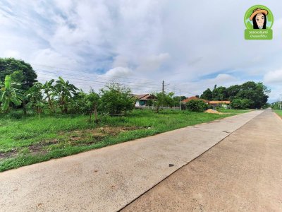 ที่ดินแปลงสวยบ้านธาตุ ทำเลดี เหมาะสำหรับสร้างบ้าน