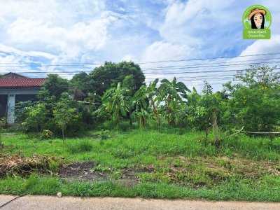 ที่ดินแปลงสวยบ้านธาตุ ทำเลดี เหมาะสำหรับสร้างบ้าน