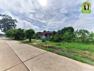 ที่ดินแปลงสวยบ้านธาตุ ทำเลดี เหมาะสำหรับสร้างบ้าน