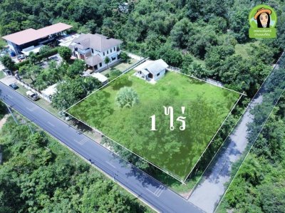 บ้านเดี่ยวชั้นเดียว บนพื้นที่แปลงสวยติดถนน 2 ด้าน