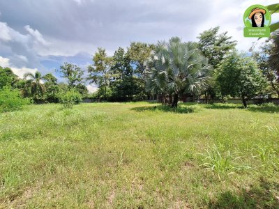 บ้านเดี่ยวชั้นเดียว บนพื้นที่แปลงสวยติดถนน 2 ด้าน