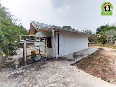 บ้านเดี่ยวชั้นเดียว บนพื้นที่แปลงสวยติดถนน 2 ด้าน