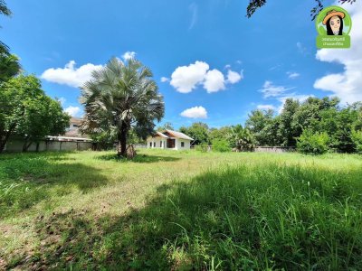 บ้านเดี่ยวชั้นเดียว บนพื้นที่แปลงสวยติดถนน 2 ด้าน