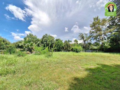 บ้านเดี่ยวชั้นเดียว บนพื้นที่แปลงสวยติดถนน 2 ด้าน