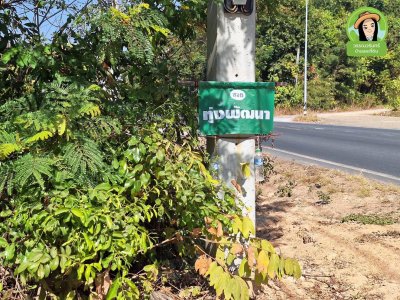 ที่ดินเปล่าติดถนนทุ่งหลวง เยื้องกับ กศน.ตำบลขามใหญ่