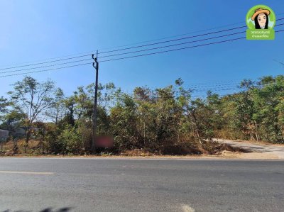 ที่ดินเปล่าติดถนนทุ่งหลวง เยื้องกับ กศน.ตำบลขามใหญ่