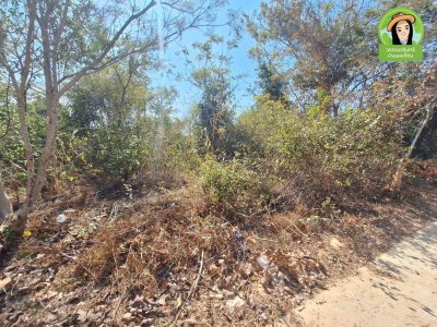 ที่ดินเปล่าติดถนนทุ่งหลวง เยื้องกับ กศน.ตำบลขามใหญ่