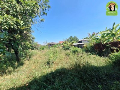 ที่ดินพร้อมสิ่งปลูกสร้าง  ทำเลในเมืองอุบล