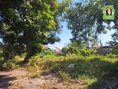 ที่ดินพร้อมสิ่งปลูกสร้าง  ทำเลในเมืองอุบล