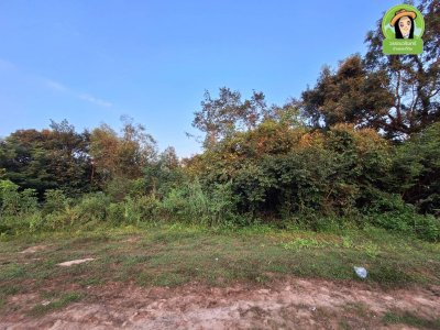 ที่ดิน 2 แปลง โซนดงแสนสุข ต.ไร่น้อย