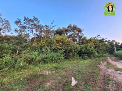 ที่ดิน 2 แปลง โซนดงแสนสุข ต.ไร่น้อย