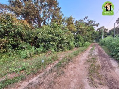 ที่ดิน 2 แปลง โซนดงแสนสุข ต.ไร่น้อย