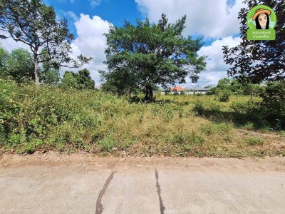 ที่ดิน 3 แปลง โซนห้วยวังนอง ในซอยยิ่งดวง ต.กุดลาด