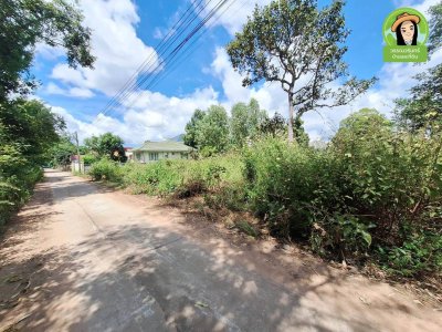 ที่ดิน 3 แปลง โซนห้วยวังนอง ในซอยยิ่งดวง ต.กุดลาด