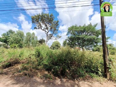 ที่ดิน 3 แปลง โซนห้วยวังนอง ในซอยยิ่งดวง ต.กุดลาด